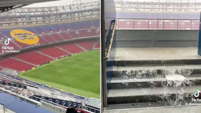 1756382908734002628.jpg 1756382903830.jpg